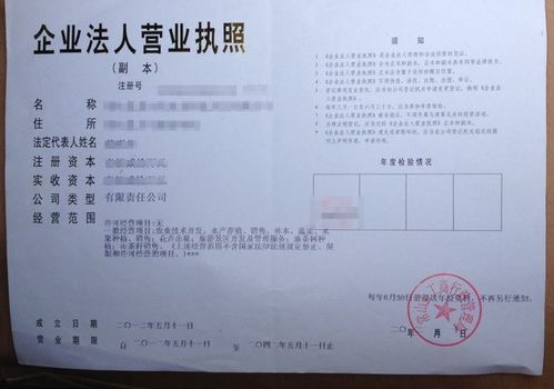 痛客網(wǎng) 工商注冊(cè)時(shí),該怎么填經(jīng)營(yíng)范圍